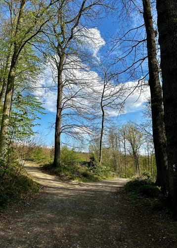 Pingsiepen Runde