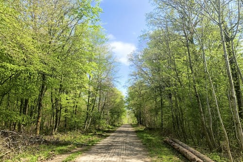 Natura Trail Mandelbachtal