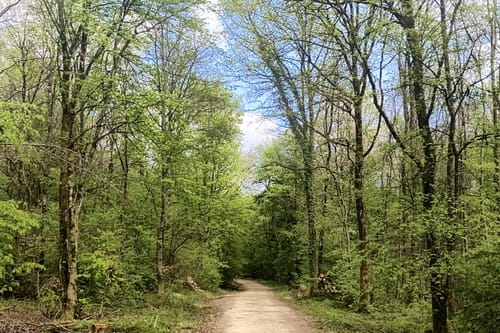 Natura Trail Mandelbachtal