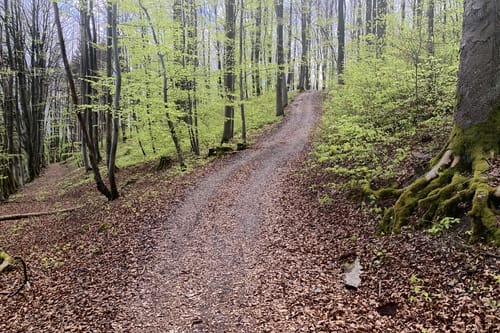 Natura Trail Mandelbachtal