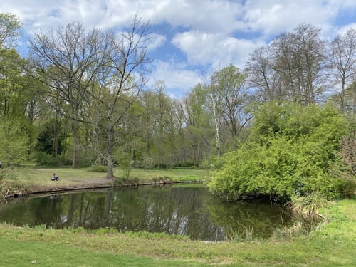 Spree und Großer Tiergarten