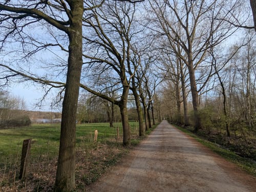 Rubbenbruchsee und Heger Holz