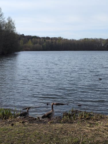 Rubbenbruchsee und Heger Holz