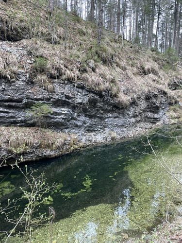Klausenbachklamm (Premiumwanderweg)
