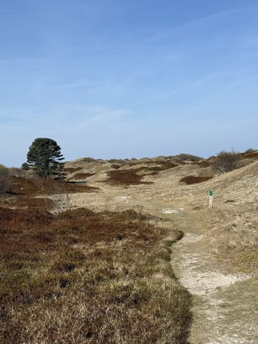 Spiekeroog Rundweg