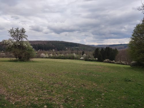 Wanderwege Hasselborn - Hase