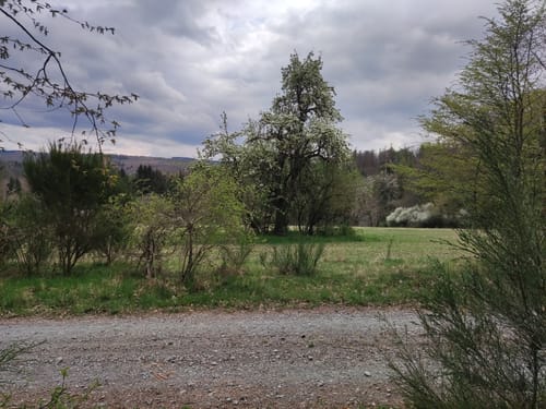 Wanderwege Hasselborn - Hase