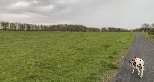 Durch die Weidelandschaft Kleiber
