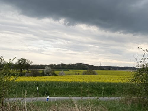 Durch die Weidelandschaft Kleiber