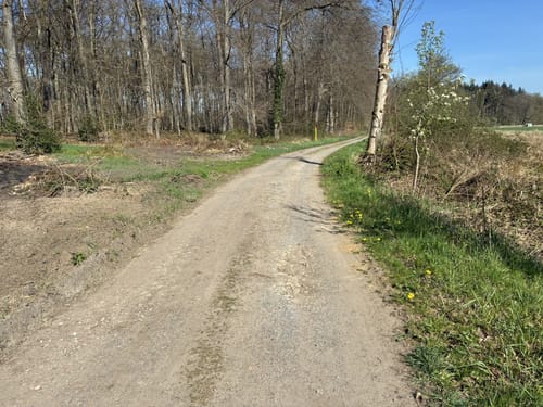 Emsland-Route Etappe 1: Rheine - Geeste