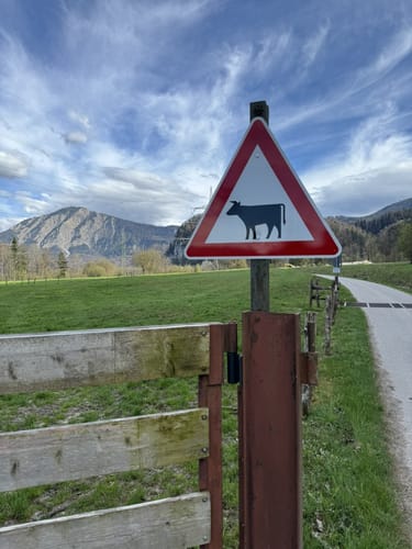 Am Kochelsee zwischen Schlehdorf und Rau