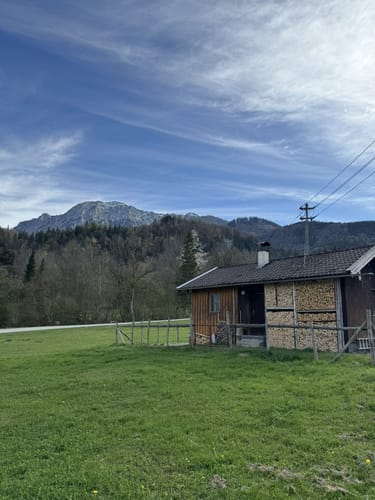 Am Kochelsee zwischen Schlehdorf und Rau