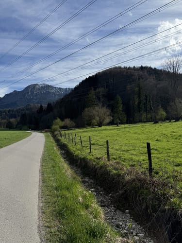Am Kochelsee zwischen Schlehdorf und Rau