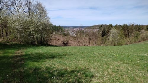 Wanderfreunde Regenstauf: Eichhornweg