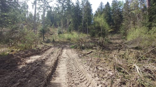 Wanderfreunde Regenstauf: Eichhornweg