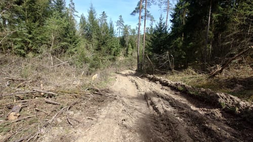 Wanderfreunde Regenstauf: Eichhornweg