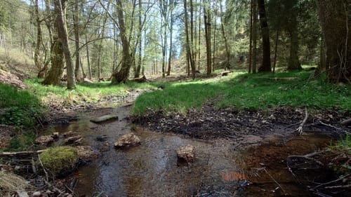 Wanderfreunde Regenstauf: Eichhornweg