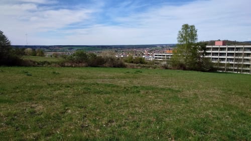Wanderfreunde Regenstauf: Eichhornweg