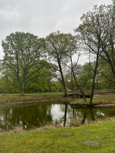 Durch den Wildpark Dülmen