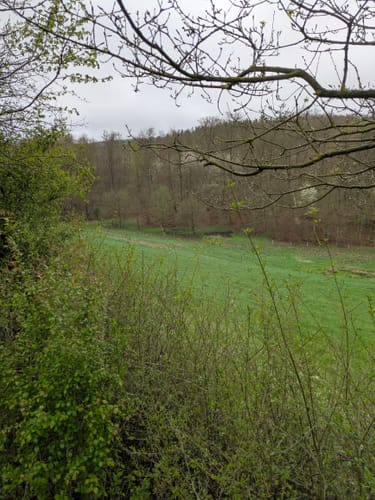 Ahlsburg und Burg Grubenhagen ab Dassensen