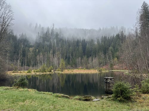 Rundweg: Kniebis - Ellbachsee