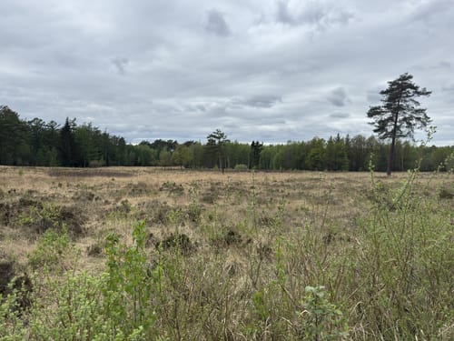 Ohligser Heide Rundweg A1