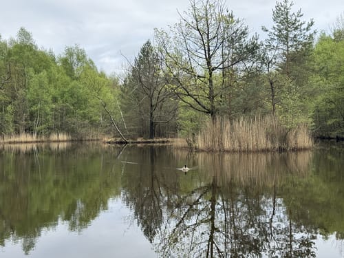 Ohligser Heide Rundweg A1