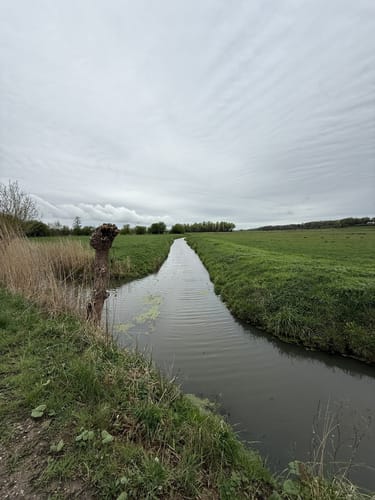 An der Elbe bei Wedel