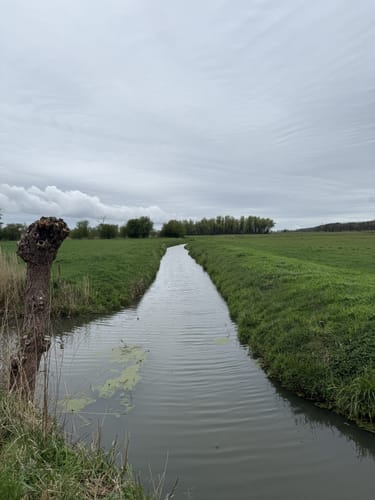 An der Elbe bei Wedel