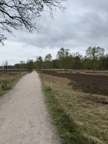 Boberger Niederung mit Boberger Dünen