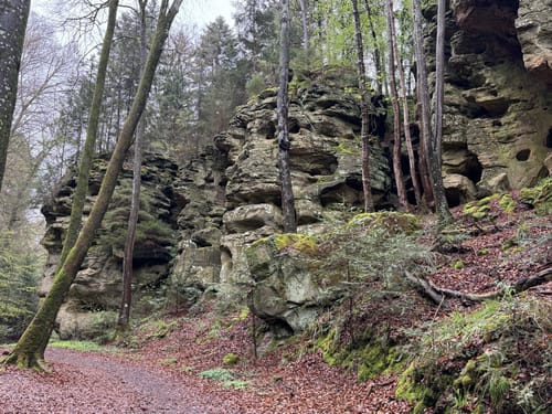 Naturpark Südeifel Wanderweg Nr. 53 - Ernzen
