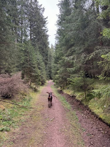 Lütsche-Flößergraben Rundwanderweg
