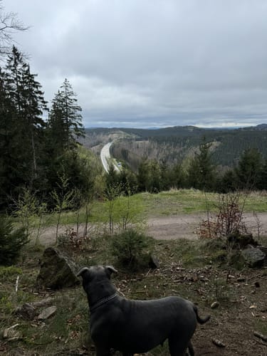 Lütsche-Flößergraben Rundwanderweg