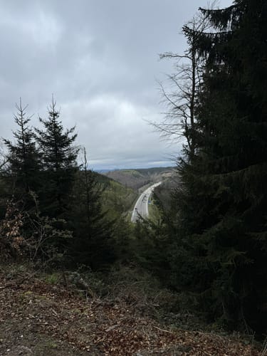 Lütsche-Flößergraben Rundwanderweg