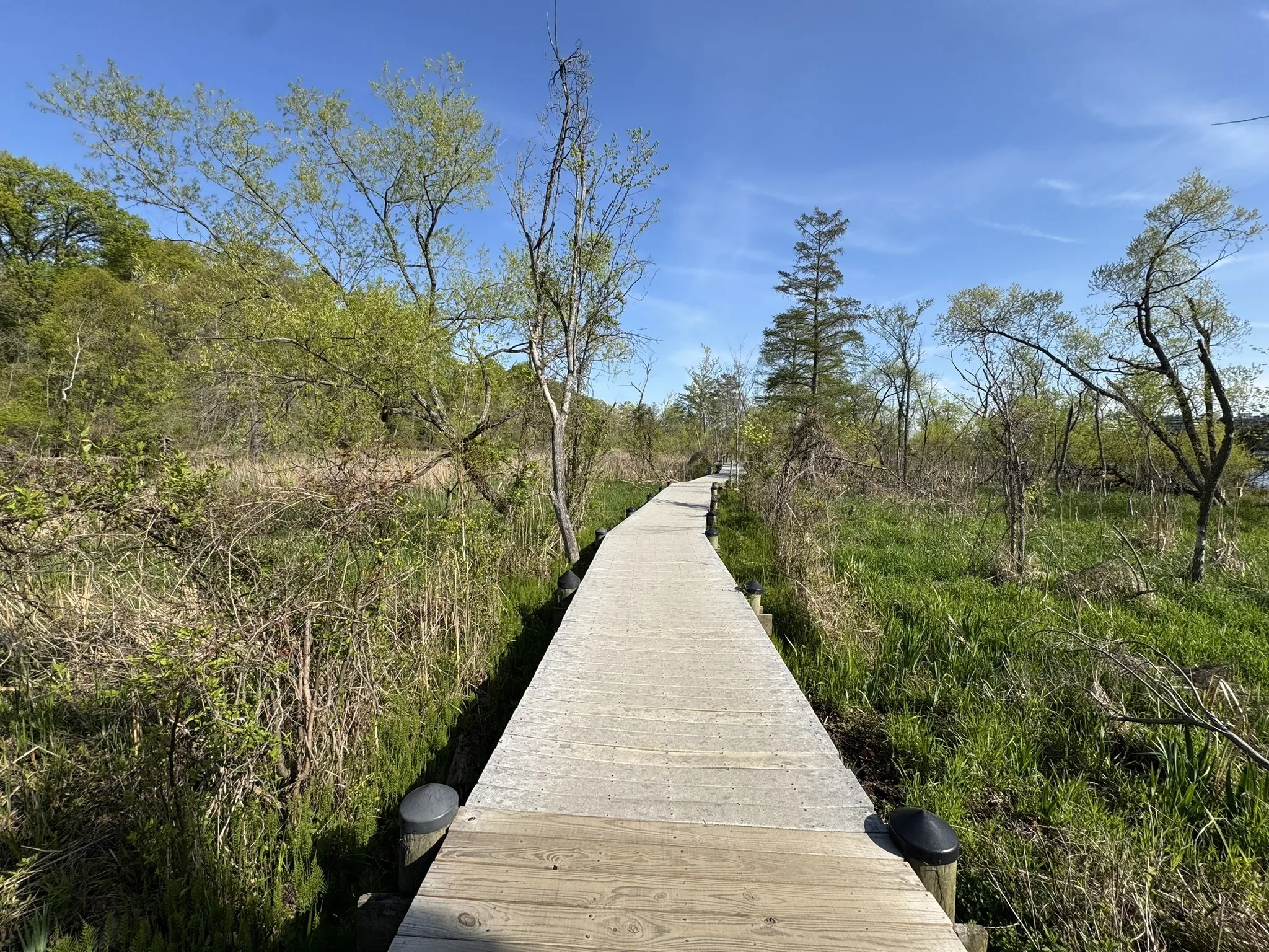 Roosevelt Island scenery 1
