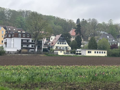 Grüne Oasen in Erlangens Innenstadt