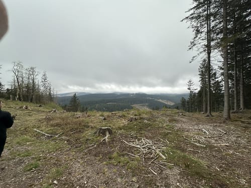 Lütsche-Flößergraben Rundwanderweg