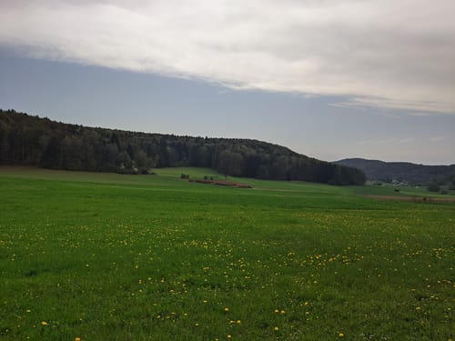 Versunkene Kulturen III