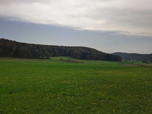 Versunkene Kulturen III