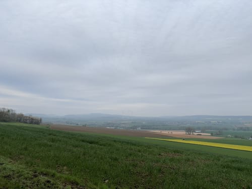 Bad Gandersheim -  Heber - Großer Osterberg