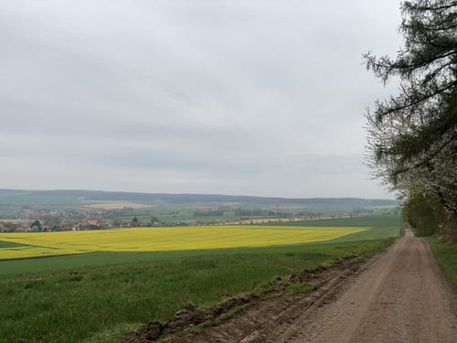 Bad Gandersheim -  Heber - Großer Osterberg