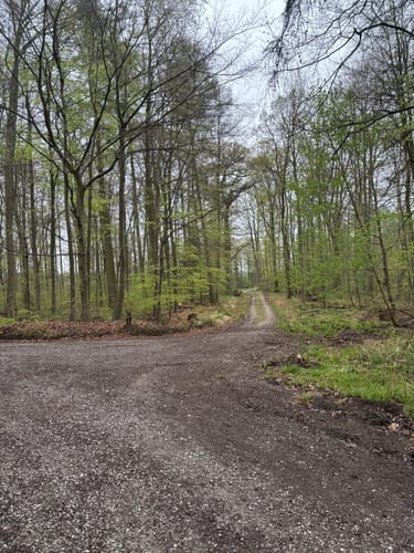 Bad Gandersheim -  Heber - Großer Osterberg