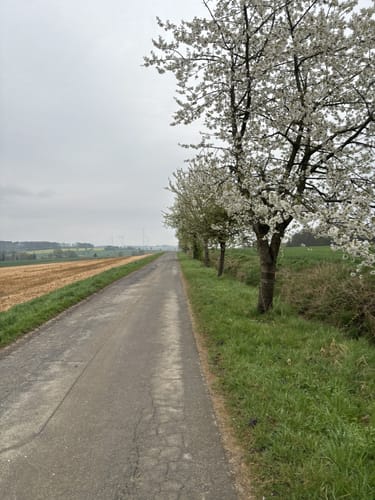 Bad Gandersheim -  Heber - Großer Osterberg
