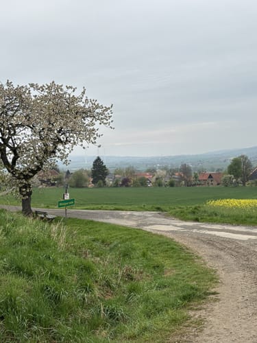 Bad Gandersheim -  Heber - Großer Osterberg