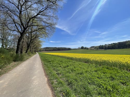 Schwedelbach Rundwanderung