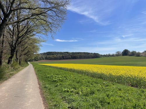 Schwedelbach Rundwanderung