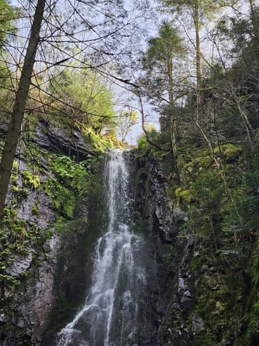 Klösterle Schleife (Genießerpfad)