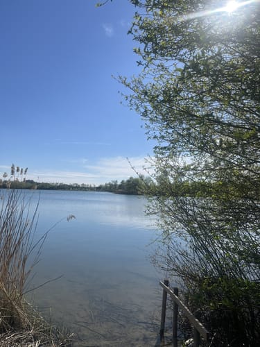 Rund um den Oberrieder See