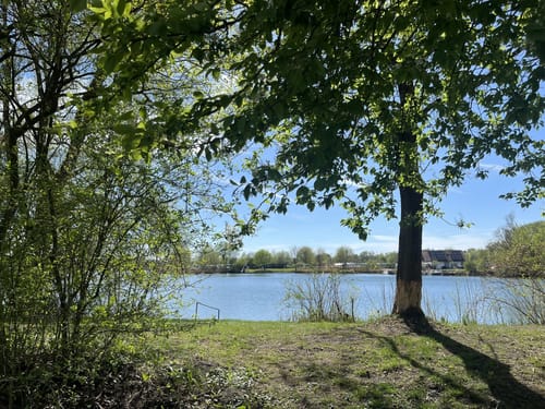 Rund um den Oberrieder See