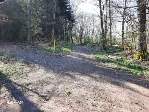 Hüttenwanderweg (Premiumwanderweg)